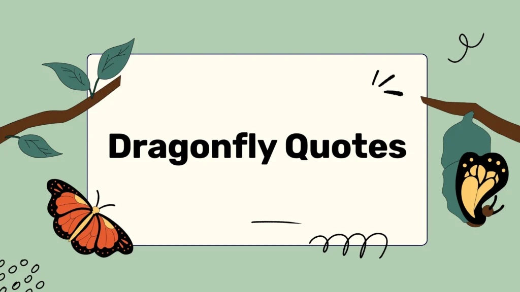 Dragonfly Quotes